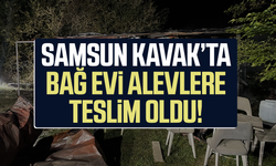 Konteyner ev alevlere teslim oldu