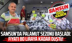 Samsun’da palamut sezonu başladı: Fiyatı 80 liraya kadar düştü!