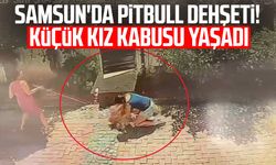 Samsun'da pitbull dehşeti