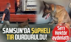 Samsun'da tırın gizli bölmesinde 7 kilo yasaklı madde ele geçirildi