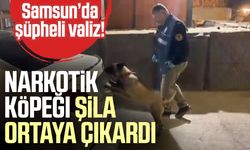 Samsun’da şüpheli valiz! Narkotik köpeği Şila ortaya çıkardı