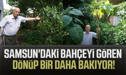 Üç kıta ve 50 ülkeden topladığı tohumlarla 'dünya bahçesi' kurdu