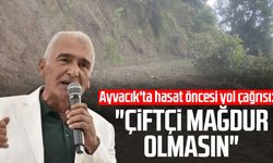 Ayvacık'ta hasat öncesi yol çağrısı: "Çiftçi mağdur olmasın"