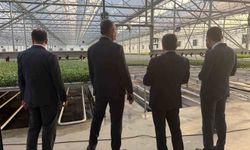 Bafra Karma OSB'de doluluk yüzde 82'ye ulaştı