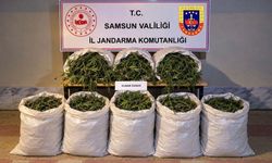Bafra'da 63 kilo kubar esrar ele geçirildi