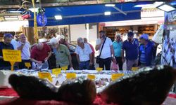 Karadeniz'de palamut patlaması: Tanesi 80 TL