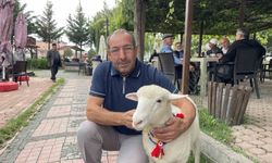 Tertip, Kavaklıların gözbebeği oldu