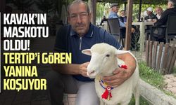 Tertip, Kavaklıların gözbebeği oldu