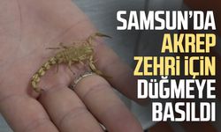 Bafra'da akrep yetiştiriciliği ve zehir sağım merkezi kuruldu