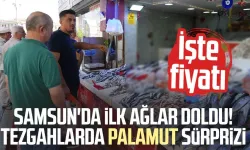 Samsun'da ilk ağlar doldu! Tezgahlarda palamut sürprizi