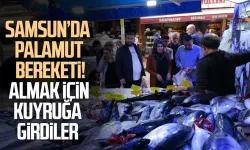 Samsun’da palamut bereketi! Almak için kuyruğa girdiler