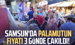 Samsun'da palamut patlaması: Tanesi 80 TL