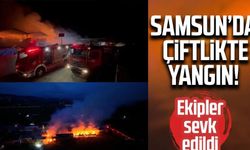 Samsun'da saman deposu alevlere teslim oldu