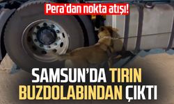 Samsun'da tırda buzdolabındaki maddeyi 'Pera' buldu