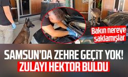 Samsun’da zehir operasyonu! Zulayı Hektor buldu