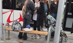 Kediye vurma tartışması itiş-kakışa döndü