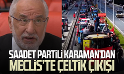 Saadet Partili Mehmet Karaman’dan TBMM'de çeltik çıkışı