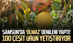 'Olmaz' denileni yaptı: Bahçesinde avokadodan tamarilloya kadar 100 çeşit subtropikal meyve ve sebze üretiyor