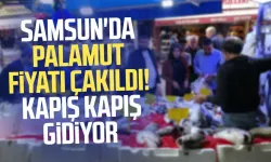 Samsun'da palamut fiyatı çakıldı! Kapış kapış gidiyor