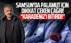 Karadeniz'de palamut alarmı: 'Önüne ne gelirse yiyor, bir an önce hepsinin tutulması gerekiyor'