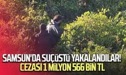 Gökdoğan avcıları suçüstü yakalandı: Toplam 1 milyon 566 bin TL ceza uygulandı