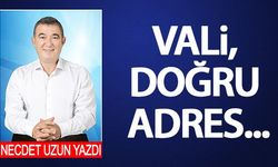 Necdet Uzun Yazdı: Vali, doğru adres...