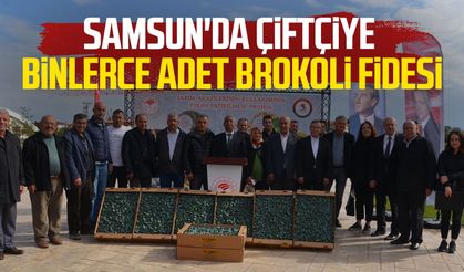 Samsun'da çiftçiye binlerce adet brokoli fidesi