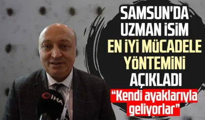 Samsun'da uzman en iyi mücadele yöntemini açıkladı: Kendi ayaklarıyla geliyorlar