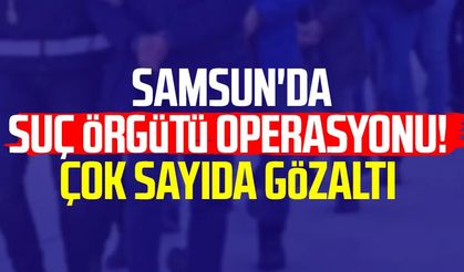 Samsun'da suç örgütü operasyonu! Çok sayıda gözaltı