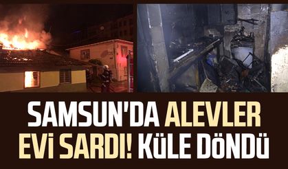 Samsun Bafra'da yangın! Alevlere teslim oldu