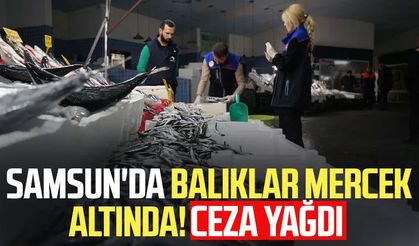 Samsun'da balıklar mercek altında! Ceza yağdı