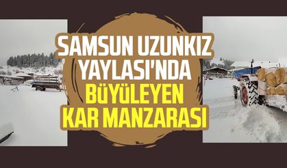 Samsun Yakakent Uzunkız Yaylası'ndan kar manzarası!