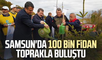 Samsun'da 100 bin fidan toprakla buluştu