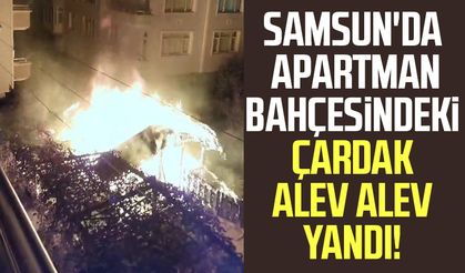 Samsun'da apartman bahçesindeki çardak alev alev yandı