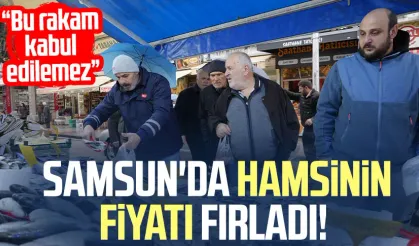 Samsun'da hamsinin fiyatı fırladı!