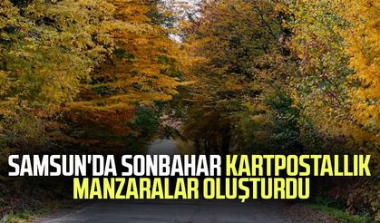 Samsun'da sonbahar kartpostallık manzaralar oluşturdu