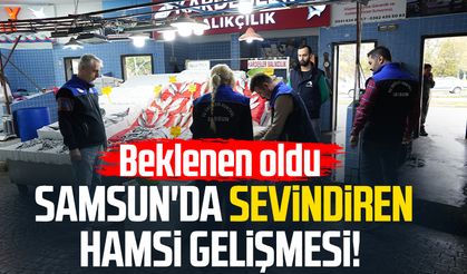 Samsun'da sevindiren hamsi gelişmesi! Beklenen oldu