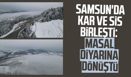 Samsun'da kar ve sis birleşti: Masal diyarına dönüştü