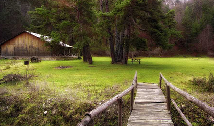 Kunduz Ormanları’nda Trekking: İz Bırakmadan Gezin