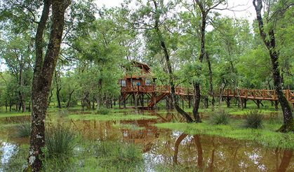 Kızılırmak Deltası Kuş Cenneti Yürüyüş Rotaları