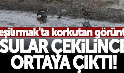 Sular çekilince ortaya çıktı! Yeşilırmak'ta korkutan görüntü
