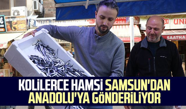 Kolilerce hamsi Samsun'dan Anadolu'ya gönderiliyor