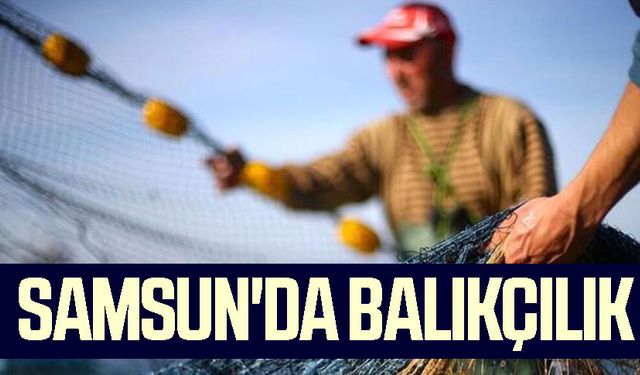 Samsun'da Balıkçılık