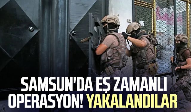 Samsun'da eş zamanlı operasyon! Yakalandılar