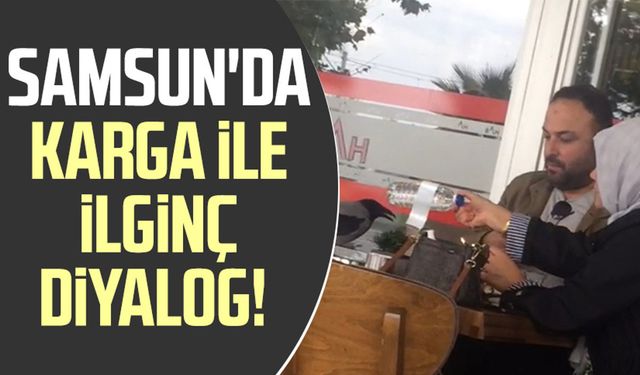 Samsun'da karga ile ilginç diyalog!