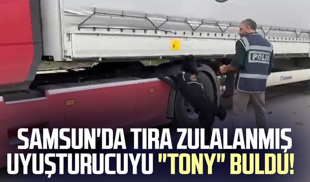 Samsun'da tıra zulalanmış uyuşturucuyu "Tony" buldu!