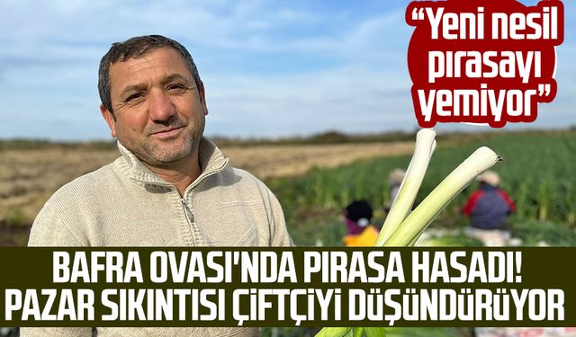 Bafra Ovası'nda pırasa hasadı! Pazar sıkıntısı çiftçiyi düşündürüyor