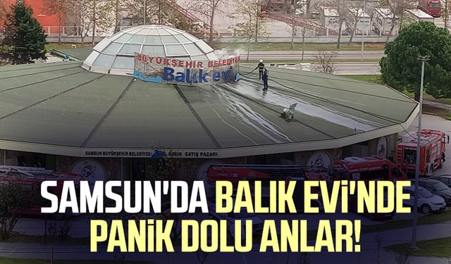 Samsun'da Balık Evi'nde panik dolu anlar!