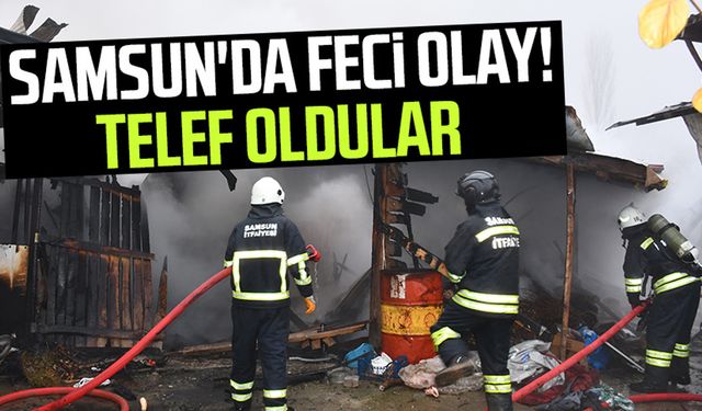 Samsun'da feci olay! Telef oldular