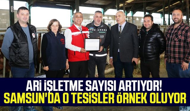 Ari işletme sayısı artıyor! Samsun'da o tesisler örnek oluyor